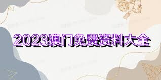 新澳2025年正版资料大全与澳门管家婆100准确,小心言过其实推广揭示